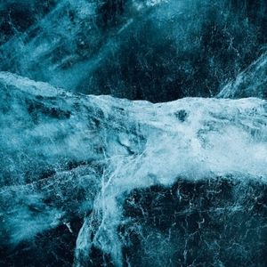 Meet your Posher, Daryl